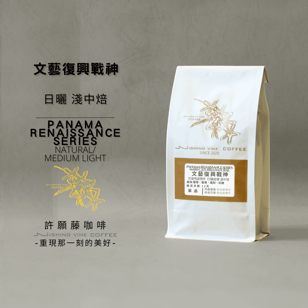 「文藝復興戰神」- 淺中焙 巴拿馬 波奎特