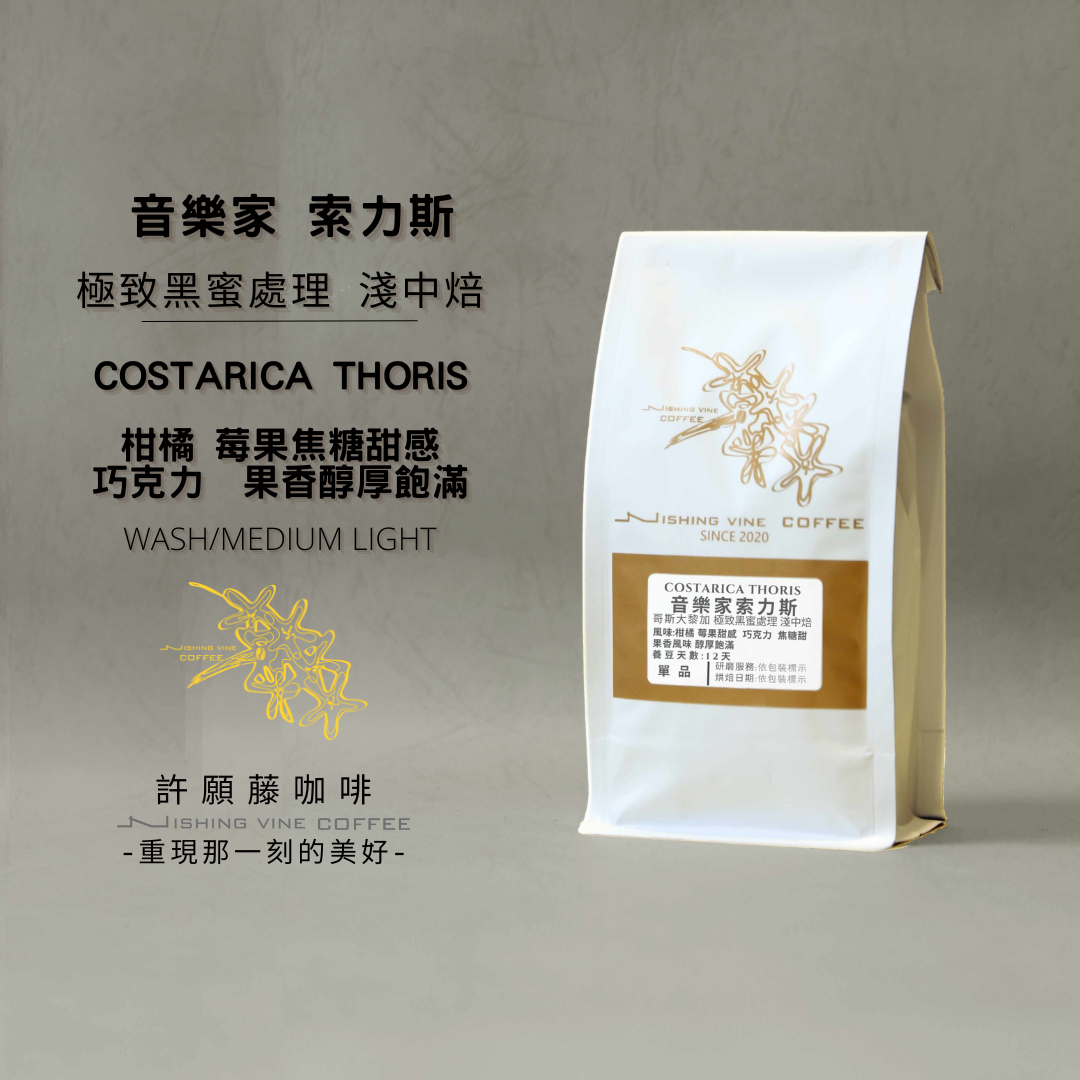 「音樂家系列」