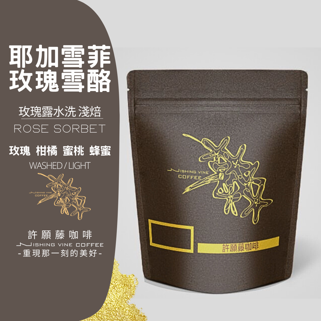 ＜NO.9＞玫瑰雪酪 水洗 淺焙