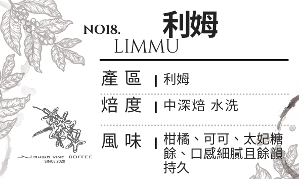 ＜NO.18＞利姆 水洗 G1 中深焙