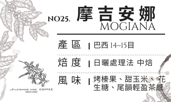 ＜NO.25＞摩吉安娜 日曬 14～15目 中焙