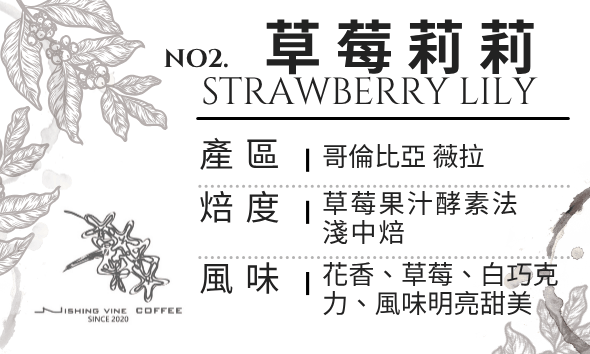 ＜NO.2＞草莓莉莉 草莓果汁酵素法 淺中焙