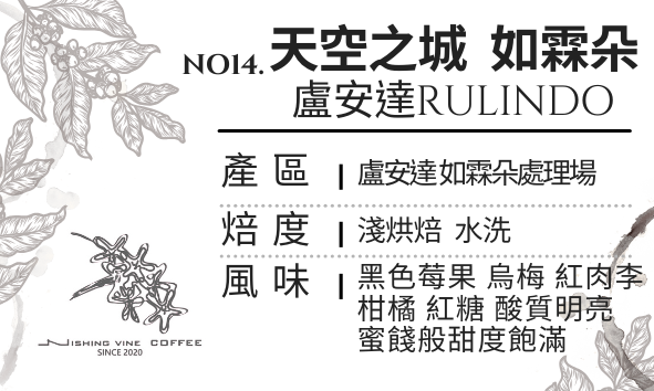 ＜NO.14＞盧安達 天空之城 如霖朵 珍珠圓豆 水洗 淺中烘焙