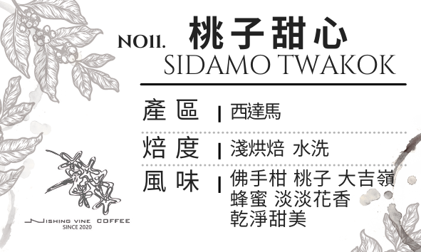 ＜NO.11＞西達摩 桃子甜心 水洗 淺烘焙 半磅