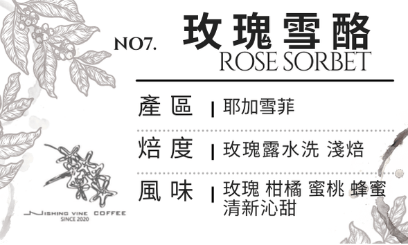 ＜NO.7＞玫瑰雪酪 水洗處理 淺焙