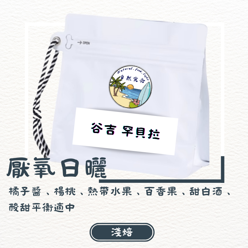 衣索比亞 谷吉 罕貝拉瓦米娜鎮 貝德莎處理廠 厭氧日曬 G1