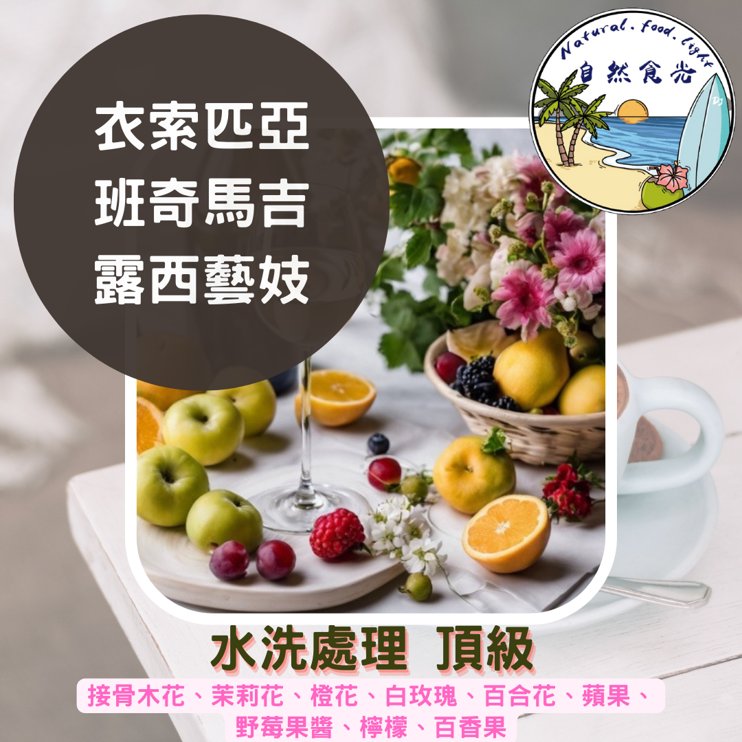 衣索比亞 班奇馬吉 露西 藝妓 水洗 最新批次