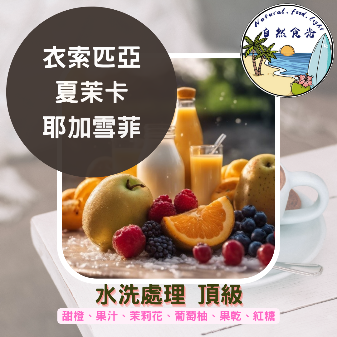 衣索比亞 金迪歐 夏茉卡 耶加雪菲 水洗 最新批次