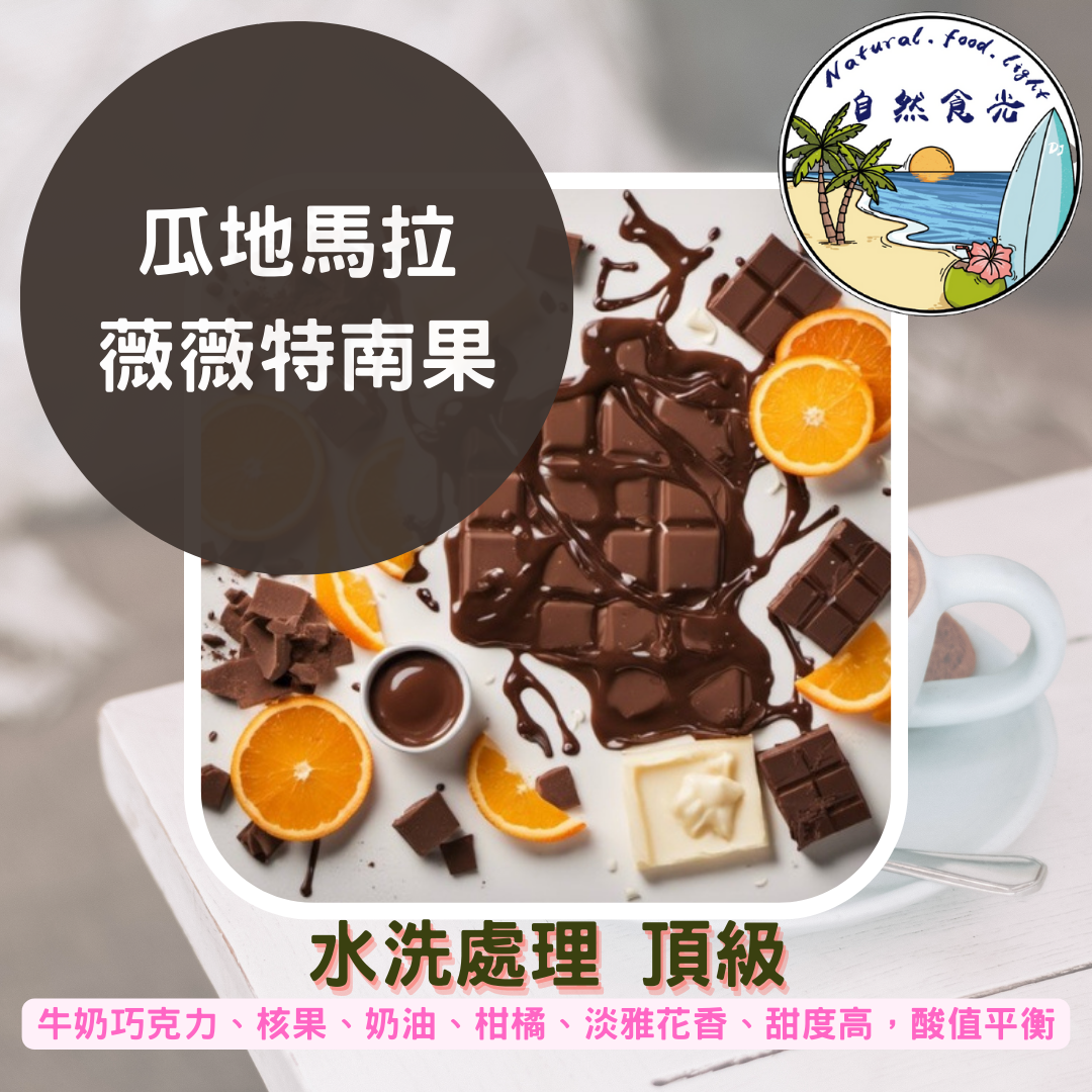 瓜地馬拉 薇薇特南果 水洗 最新批次