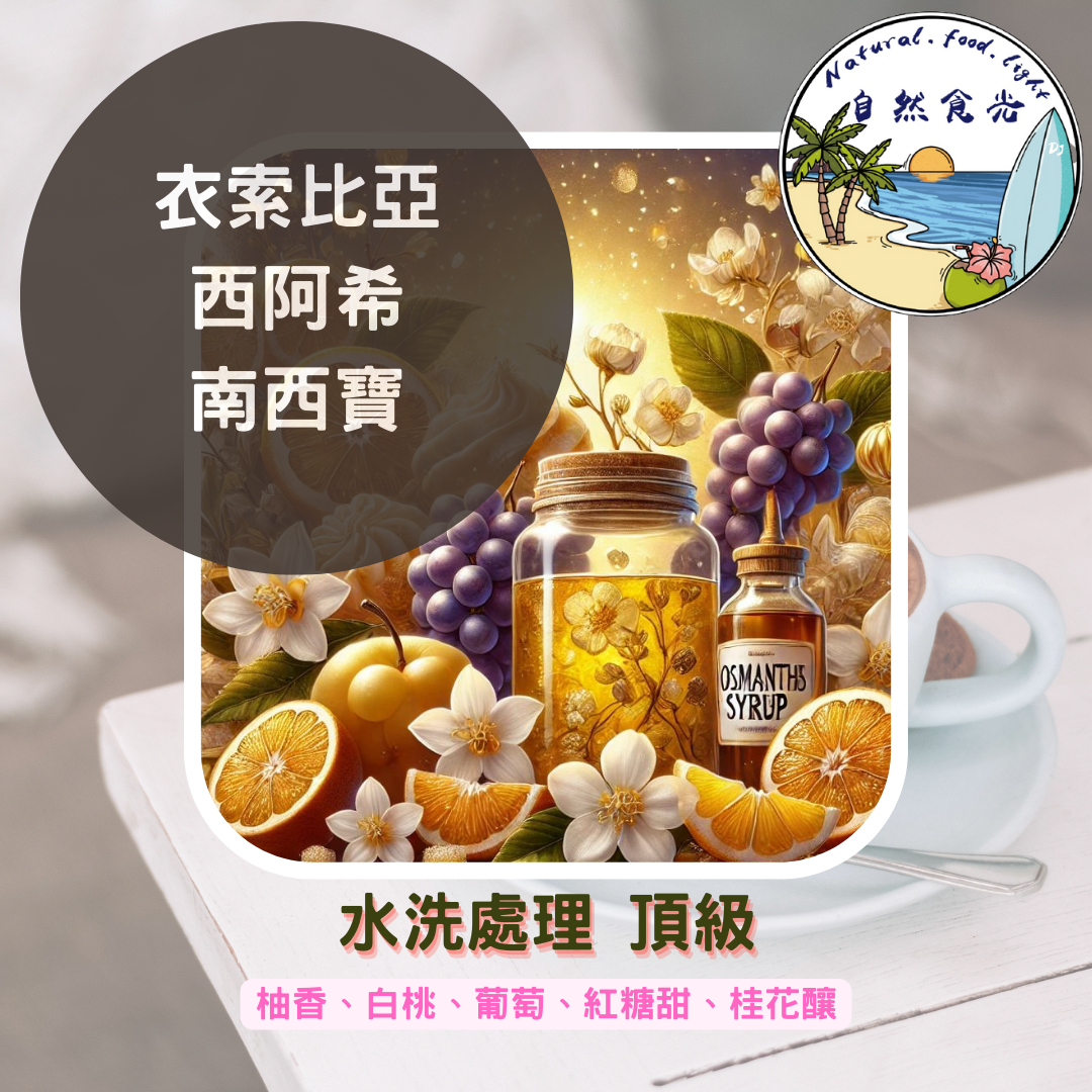 衣索比亞 西阿希 南西寶水洗站 頂級 水洗處理法