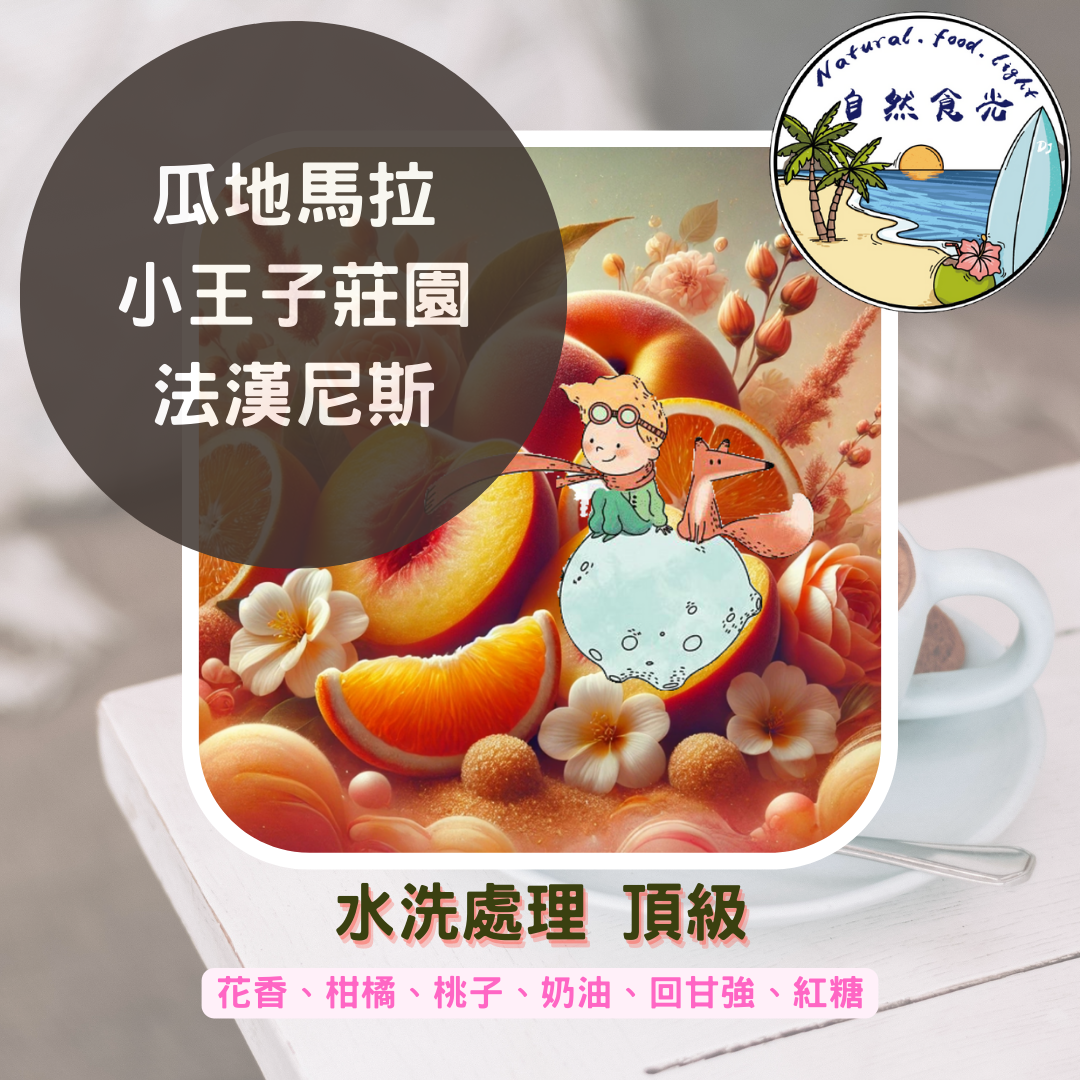 瓜地馬拉 小王子莊園 法漢尼斯  頂級 水洗處理法