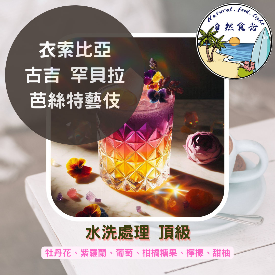 衣索比亞 古吉 罕貝拉 布穀阿貝兒 芭絲特處理站 藝伎 水洗