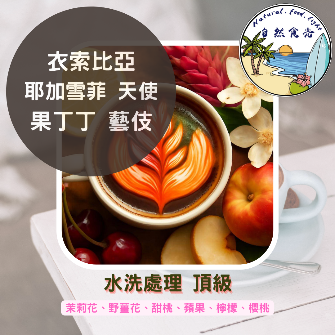 衣索比亞  耶加雪菲 果丁丁 天使處理站 藝伎 水洗