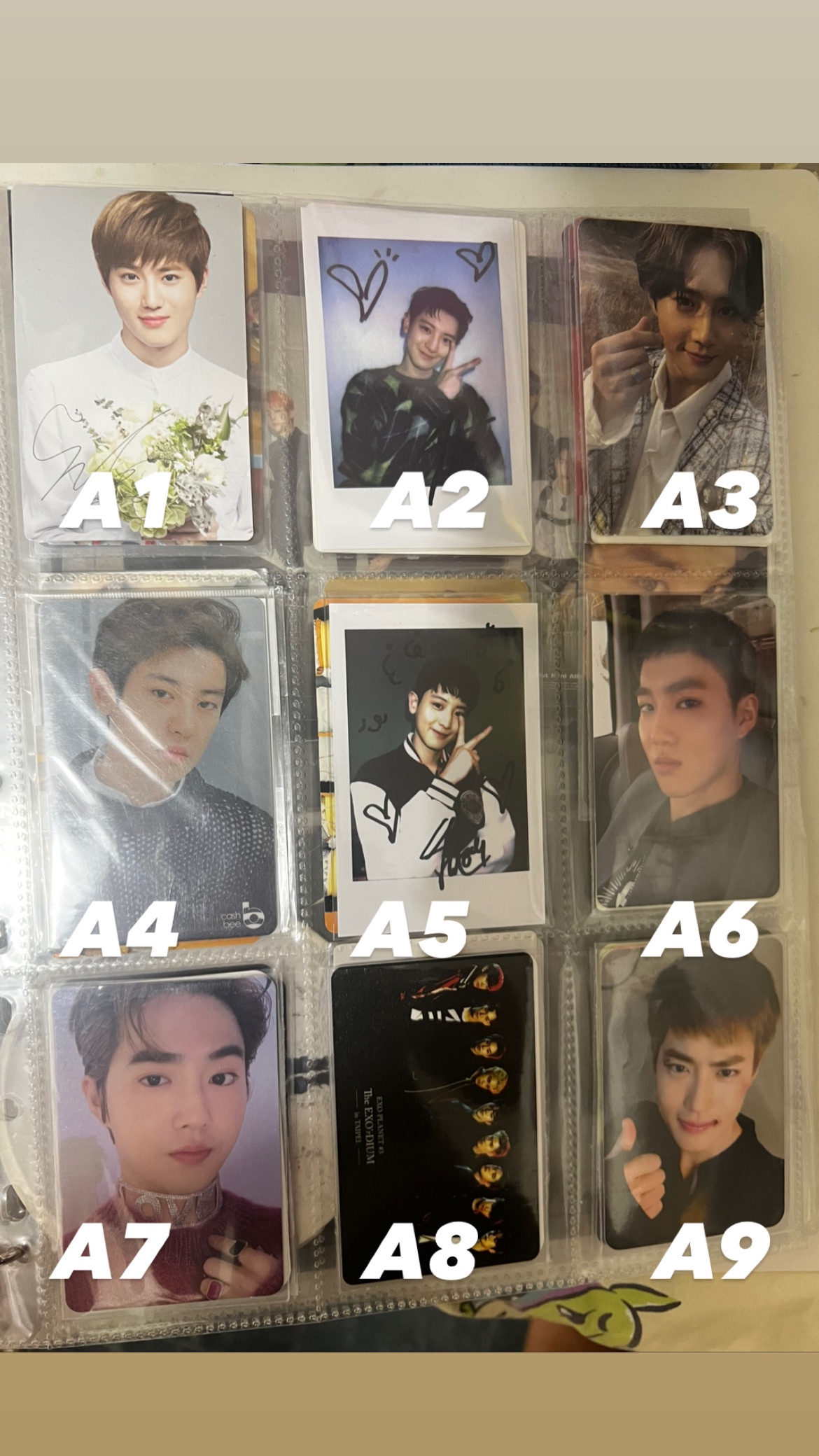 官方小卡 專輯卡