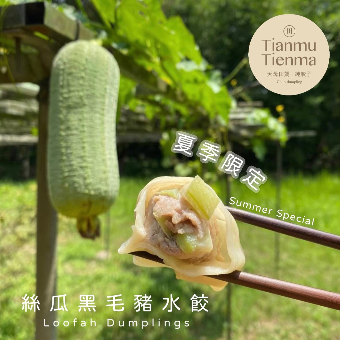夏季限定-絲瓜黑毛豬水餃