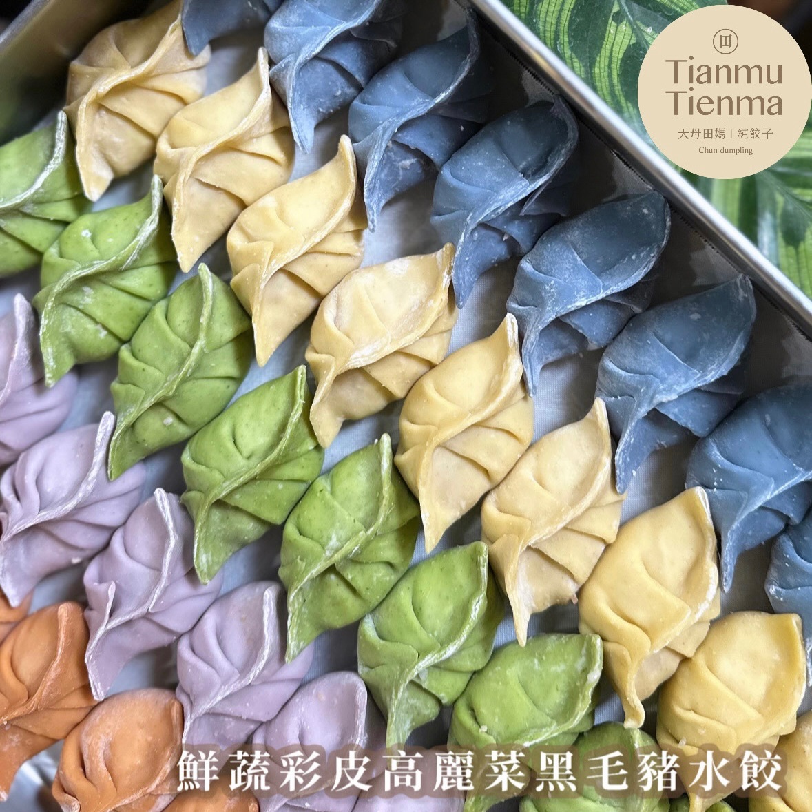 鮮蔬彩皮黑毛豬水餃