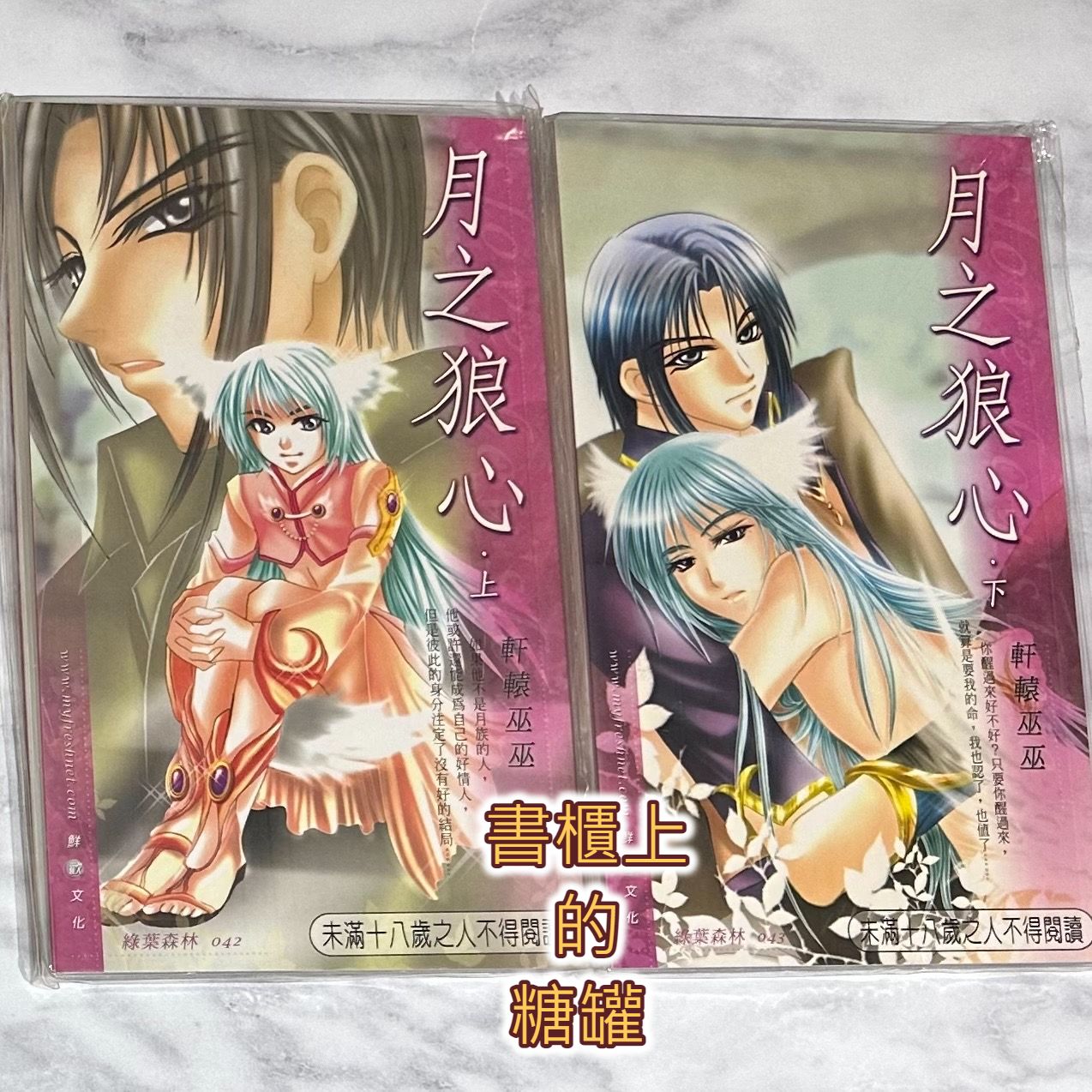 二手》絕版BL小說 月之狼心 上+下 軒轅巫巫 無章釘 鮮歡 鮮網