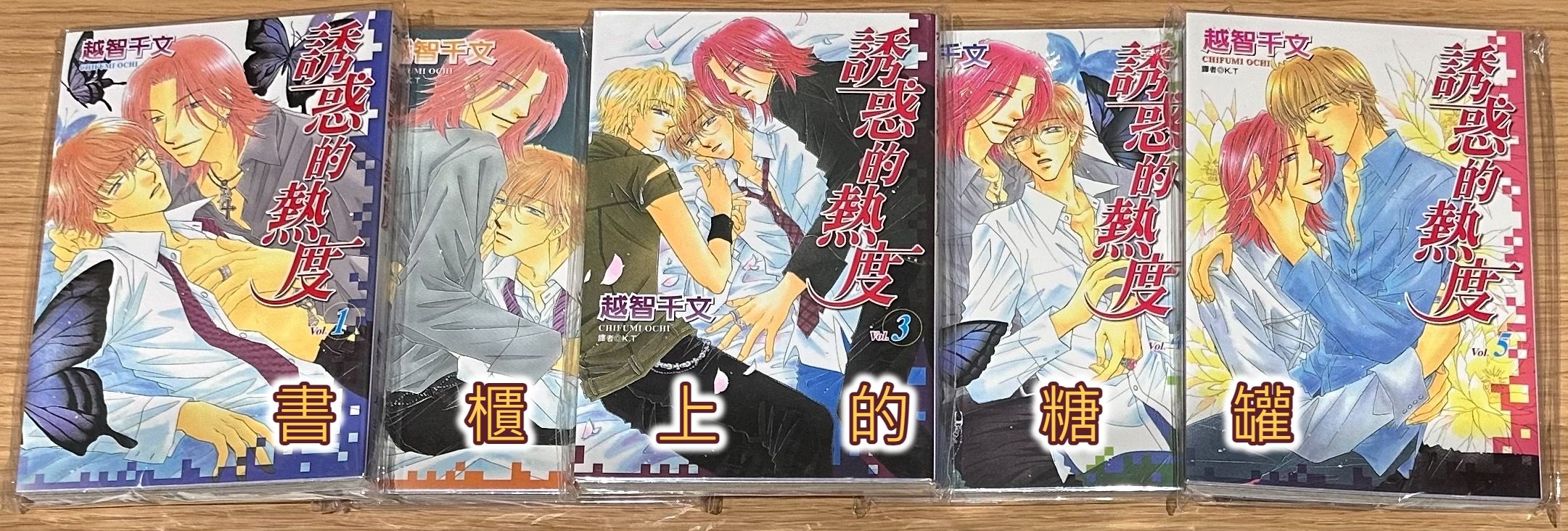 二手》BL漫畫 誘惑的熱度 1-5完 越智千文 無章釘 尖端