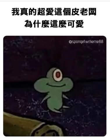 排球應募