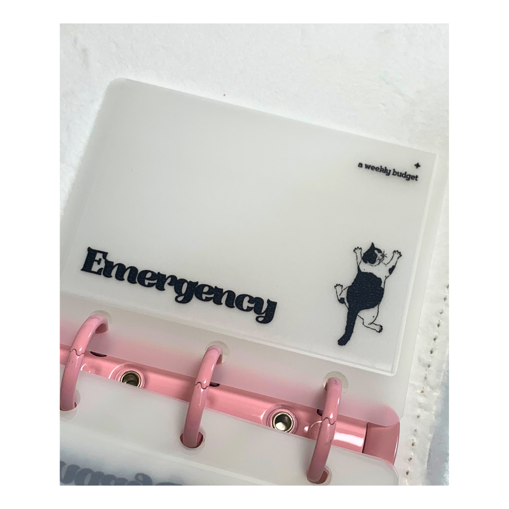 【Penmeet】韓國現金資料袋 A9肥貓現金袋 存錢 儲蓄規劃 存錢大挑戰