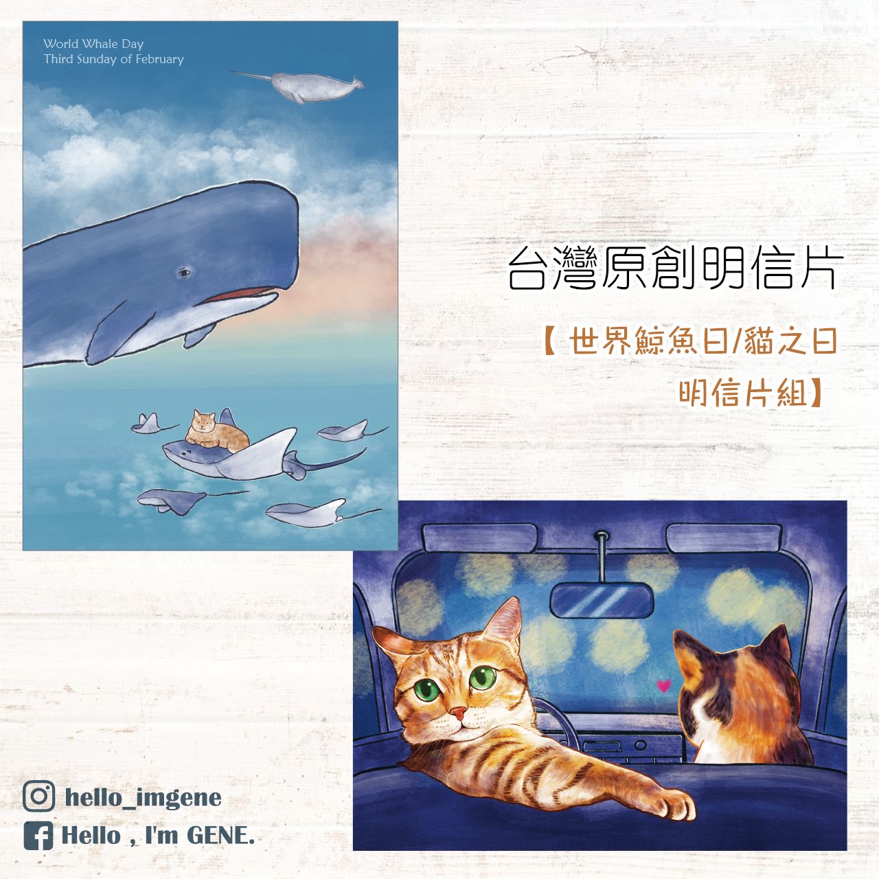 世界鯨魚日/貓之日＆鯨魚航空貼紙