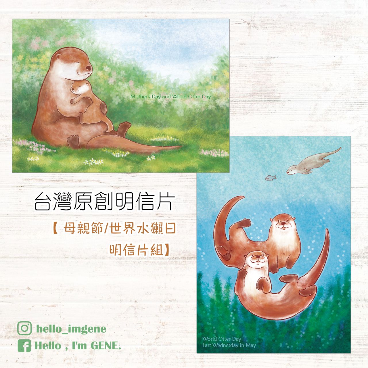 母親節＆水獺日/世界水獺日＆水獺航空貼紙