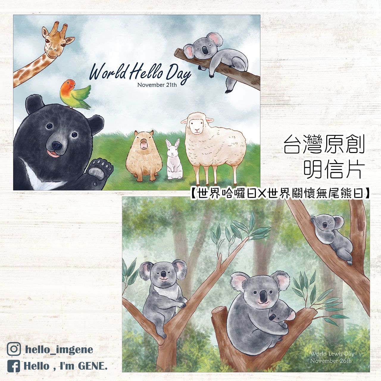 世界哈囉日X世界關注無尾熊日＆無尾熊航空貼紙