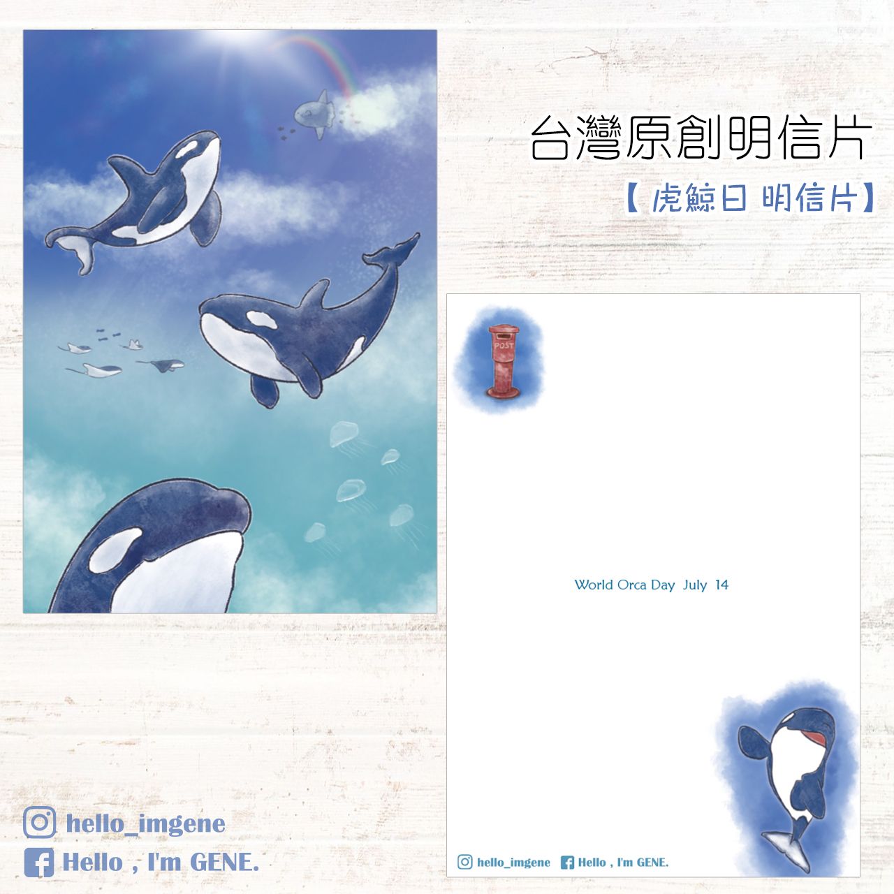 【Hello I’m Gene （靜）】虎鯨日 明信片＆虎鯨航空貼紙