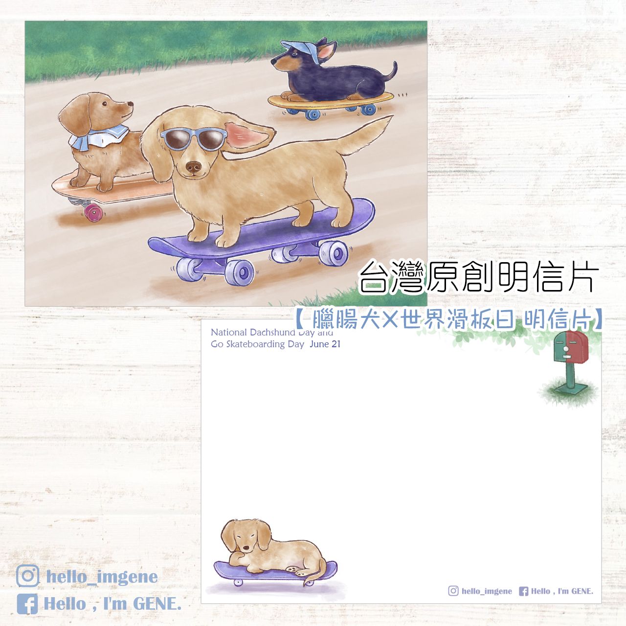 【Hello I’m Gene （靜）】臘腸犬X世界滑板日 明信片 +  臘腸犬 航空貼紙
