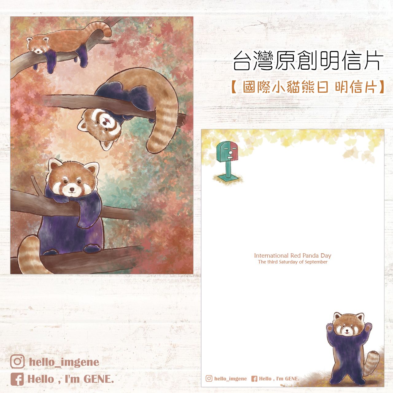 【Hello I’m Gene （靜）】國際小貓熊日 明信片＆小貓熊 航空貼紙
