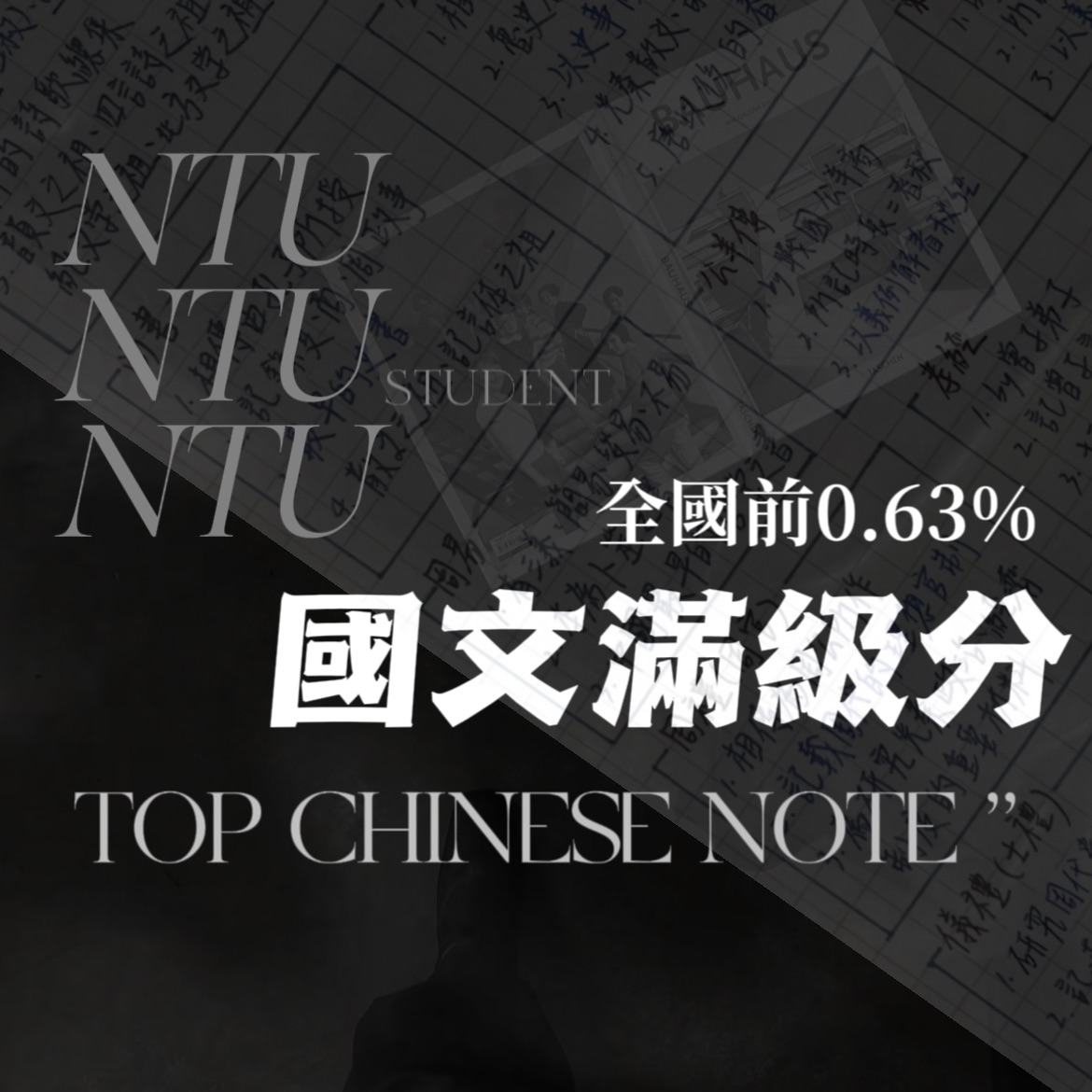 國文滿級分台大生的重點精華60頁全彩國文筆記