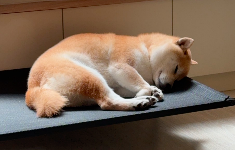 【限定指定人員下單】