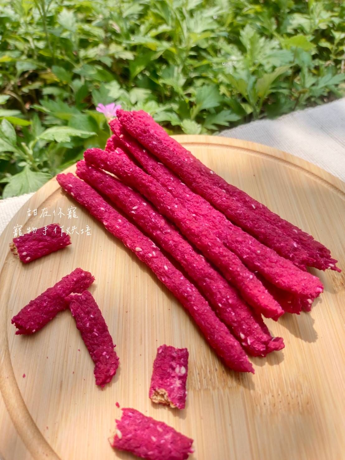 甜菜根雞肉燕麥棒