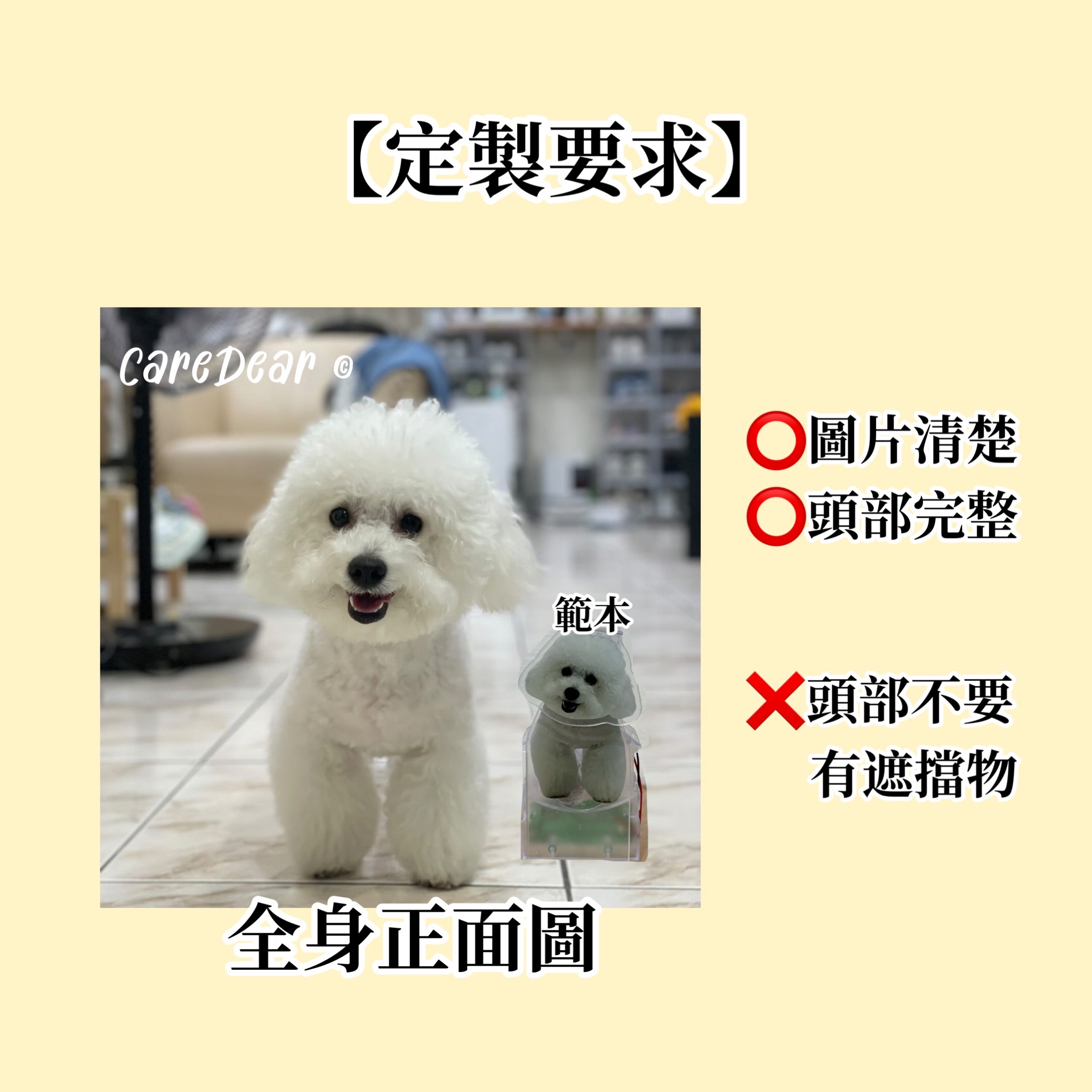 （已關團）寵物搖頭娃娃🐶🐱