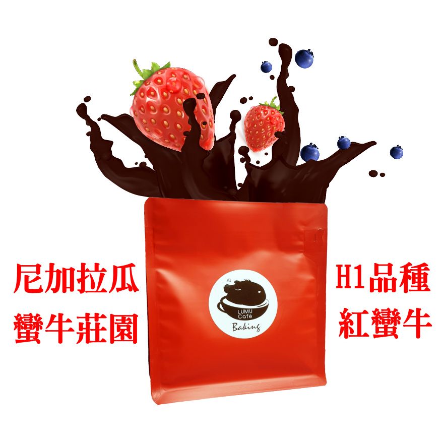 尼加拉瓜 蠻牛莊園 紅蠻牛 H1品種 黃密處理法 淺烘焙 單品莊園 單品手沖 接單烘焙 咖啡豆 瀘沐咖啡 LUMU
