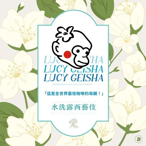 衣索比亞斑奇馬吉 露西藝伎 水洗處理法 淺烘焙 單品莊園 單品手沖 接單烘焙 咖啡豆 瀘沐咖啡 LUMU Café