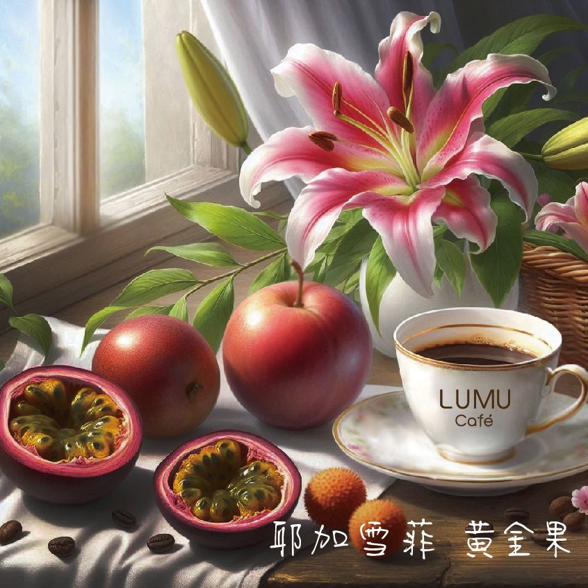 耶加雪菲 黃金果 衣索比亞 G1 雙重厭氧處理 新鮮手沖咖啡豆 虹吸式咖啡豆  美式咖啡 瀘沐咖啡 比星巴克還要好喝