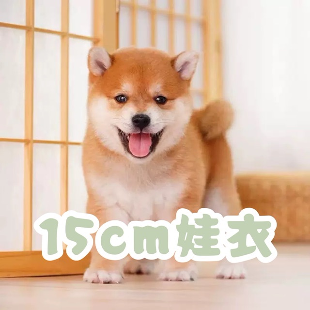 15cm娃衣