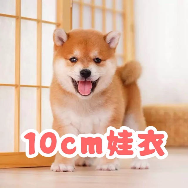 10cm娃衣