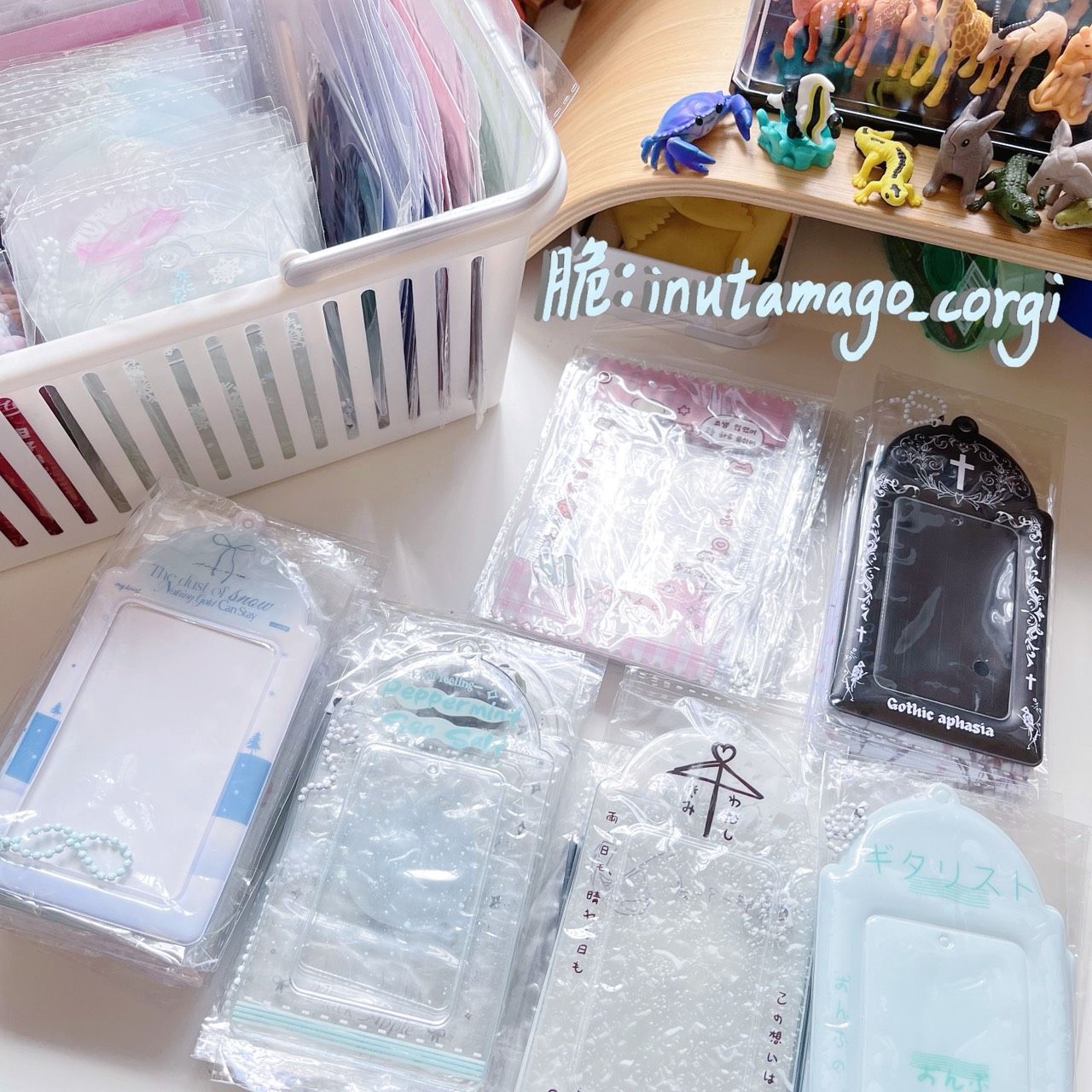 3寸卡套出清區｜均一價29元