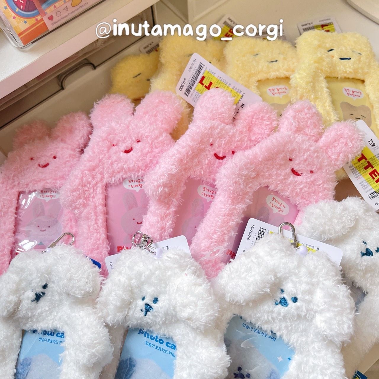 韓國Butter family正版商品