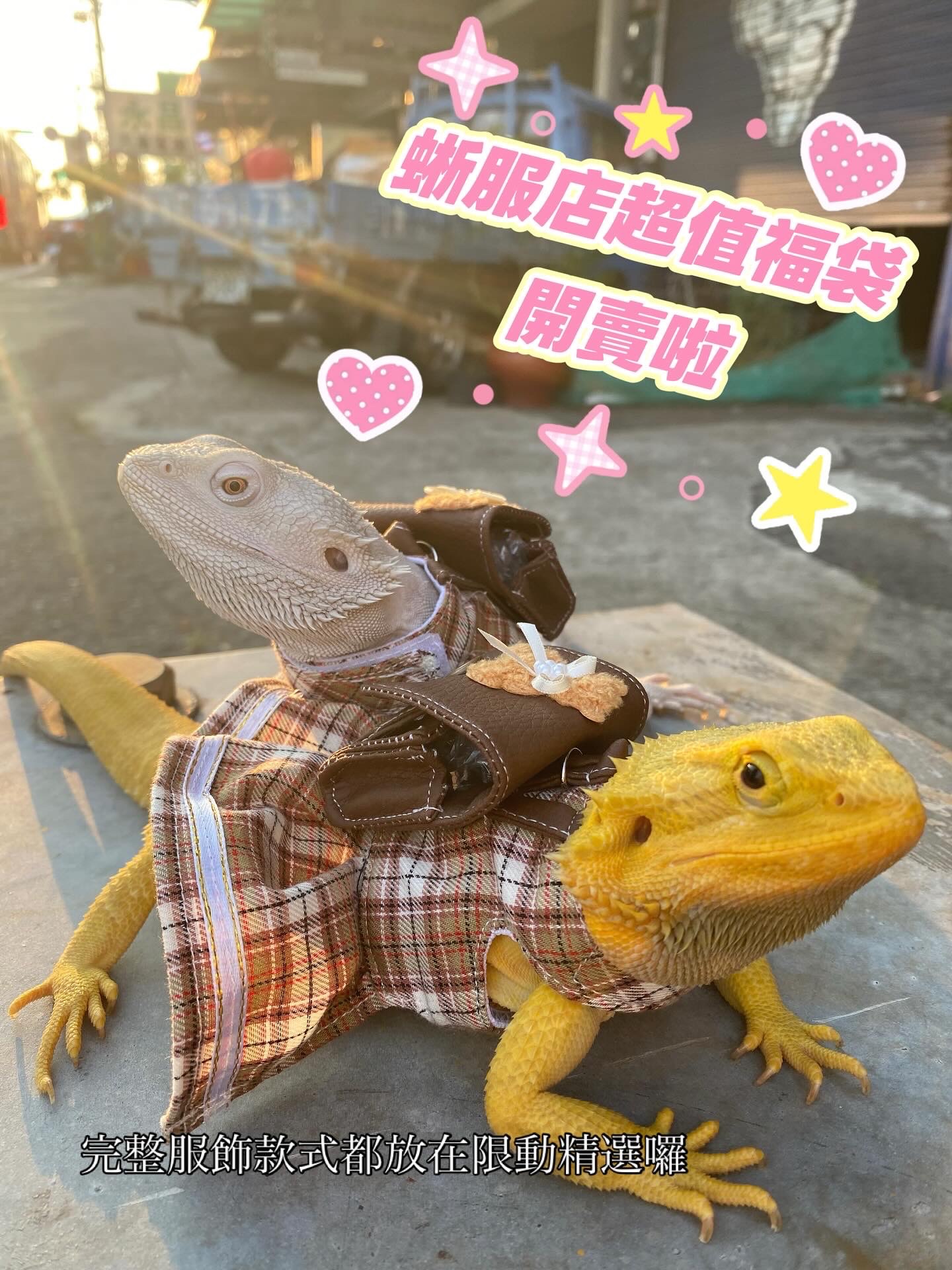 ~熱門款式專區~記得點進去看內容唷~