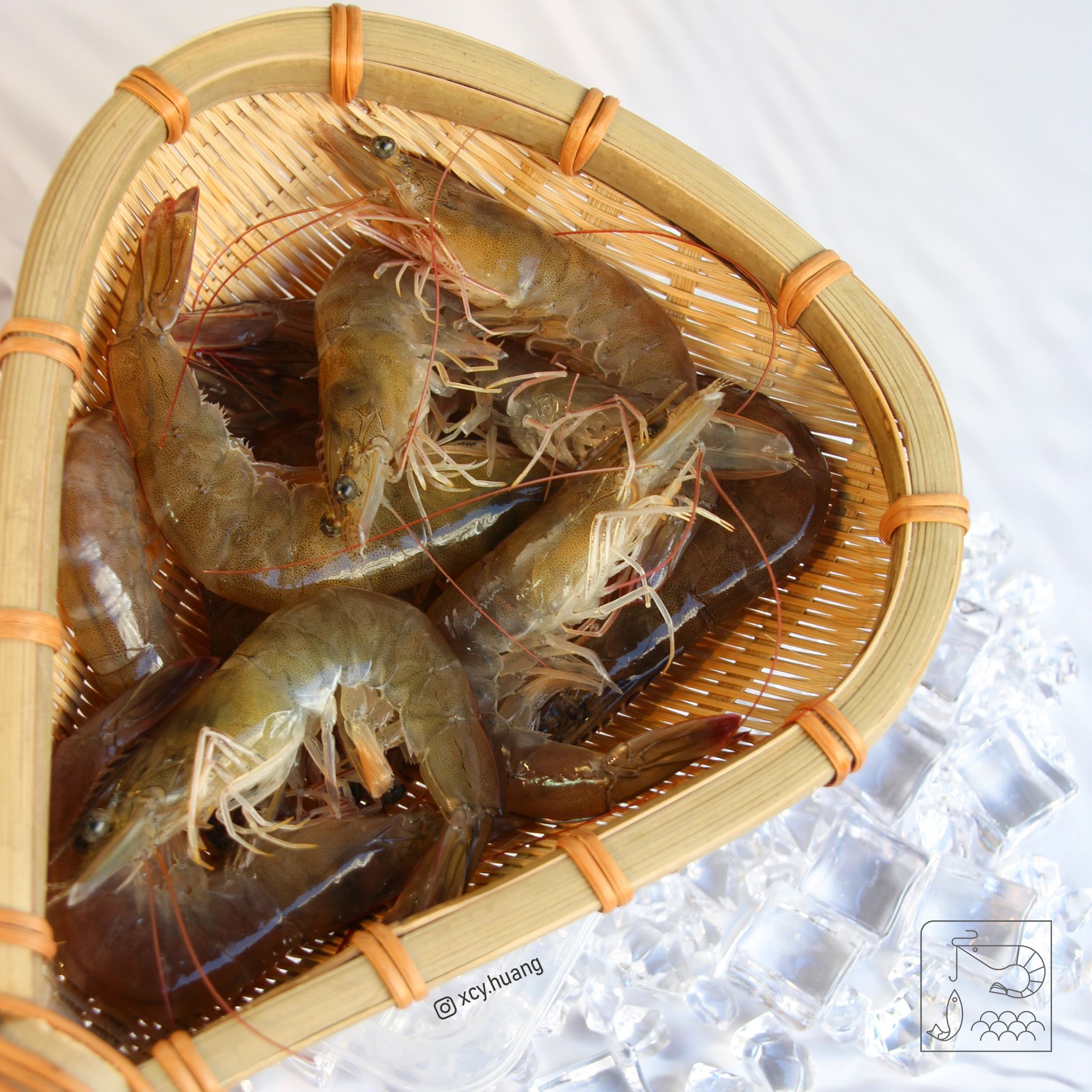 【東石活凍白蝦】嘉義在地自養・半鹹水生態混養・鮮甜Q彈