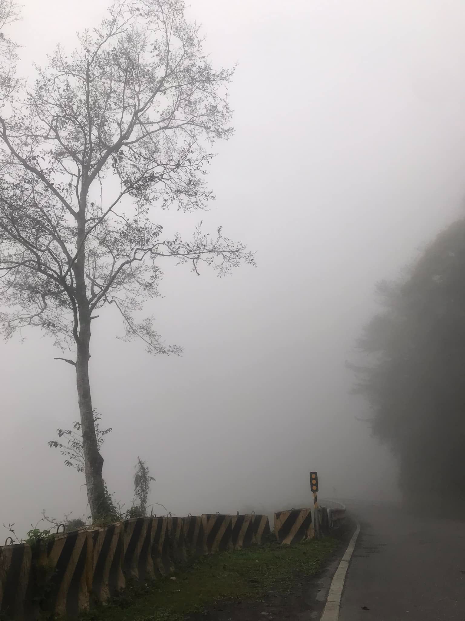 哥斯大黎加 / 塔拉珠 羅馬莊園 聖鬥士 雙重厭氧紅蜜
