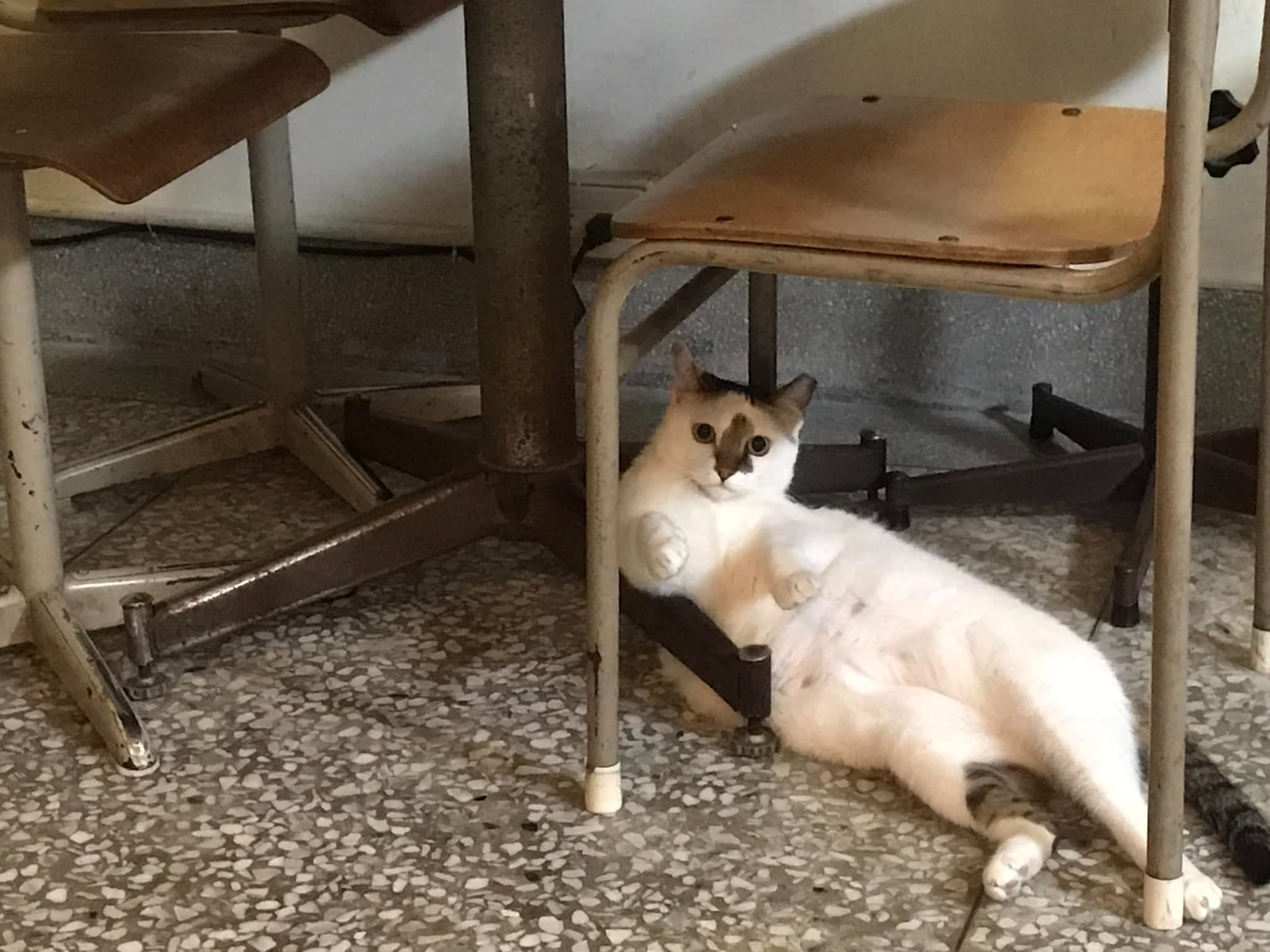 潘小姐 訂單