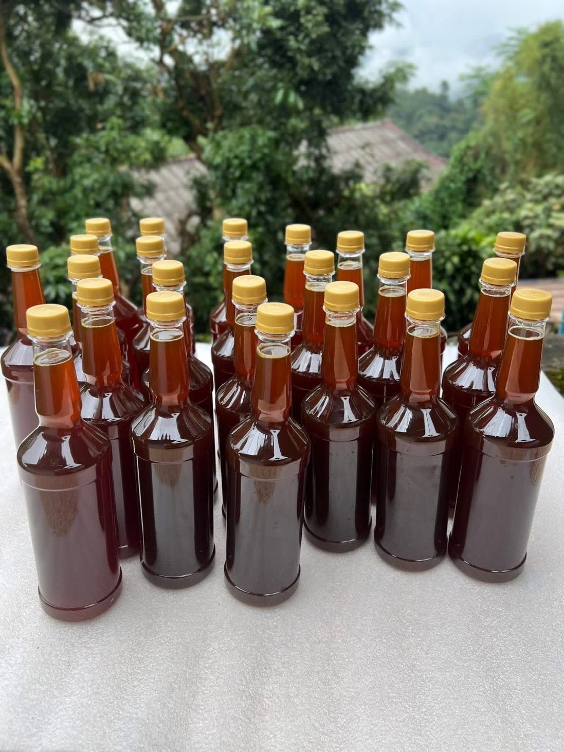 新品 -- 咖啡花蜜