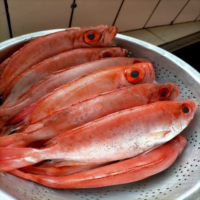 澎湖鮮魚_野生紅目鰱