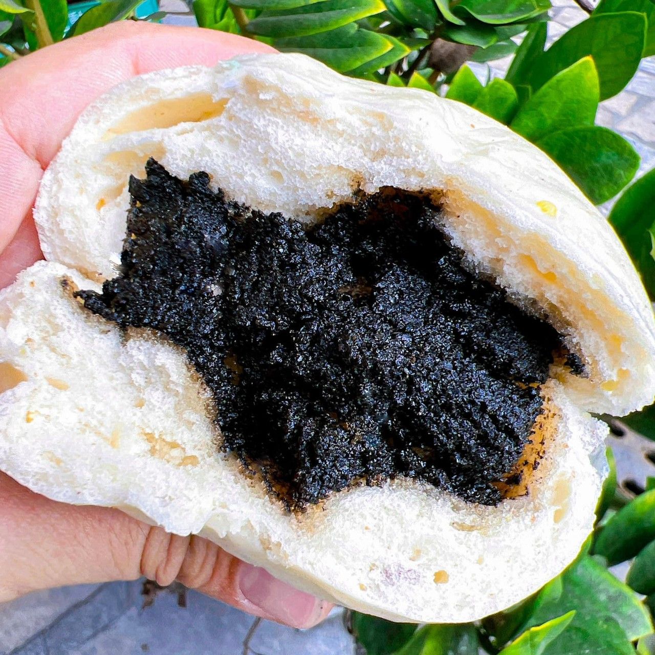 芝麻包 （蛋奶素）