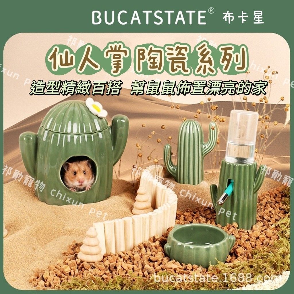 【祁勛】布卡星仙人掌陶瓷窩