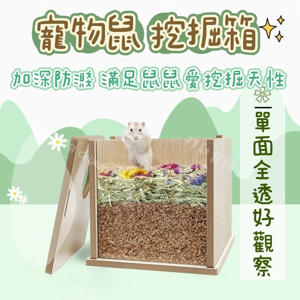 鼠鼠挖掘箱 單面全透壓克力